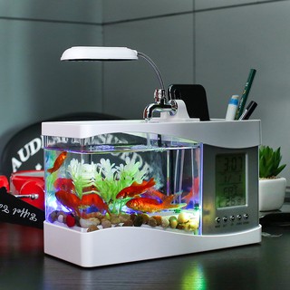 Bể cá mini để bàn