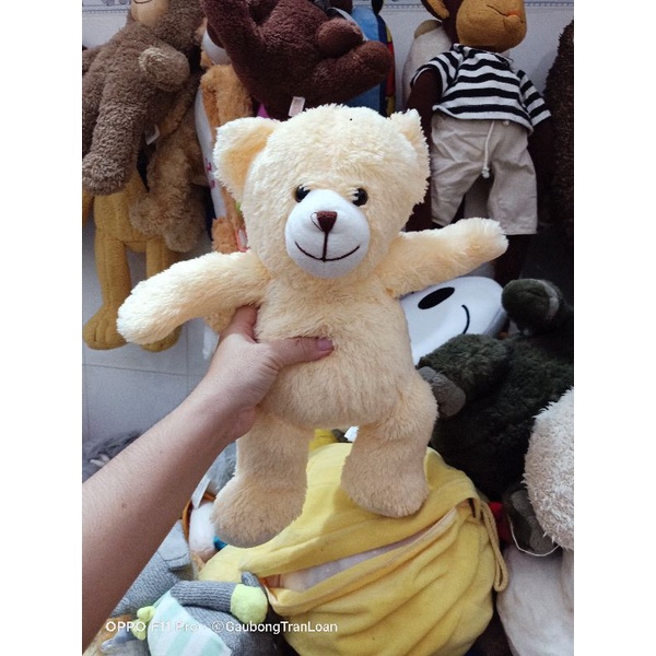 Gấu bông teddy size 40_50cm
