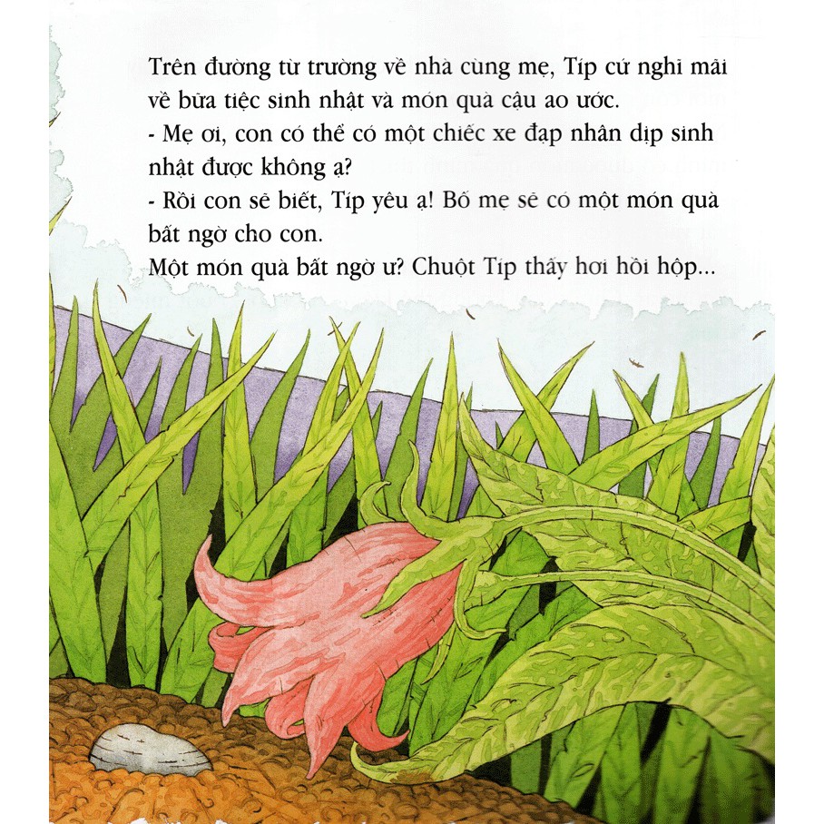 Sách - Sinh Nhật Của Chuột Típ