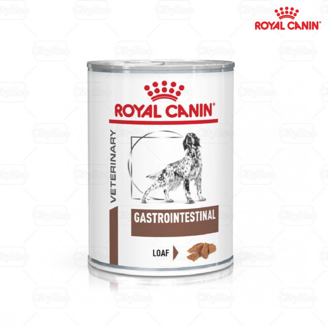 Royalcanin gastro intestinal wet food - pate royal canin cho chó gặp vấn đề tiêu hóa