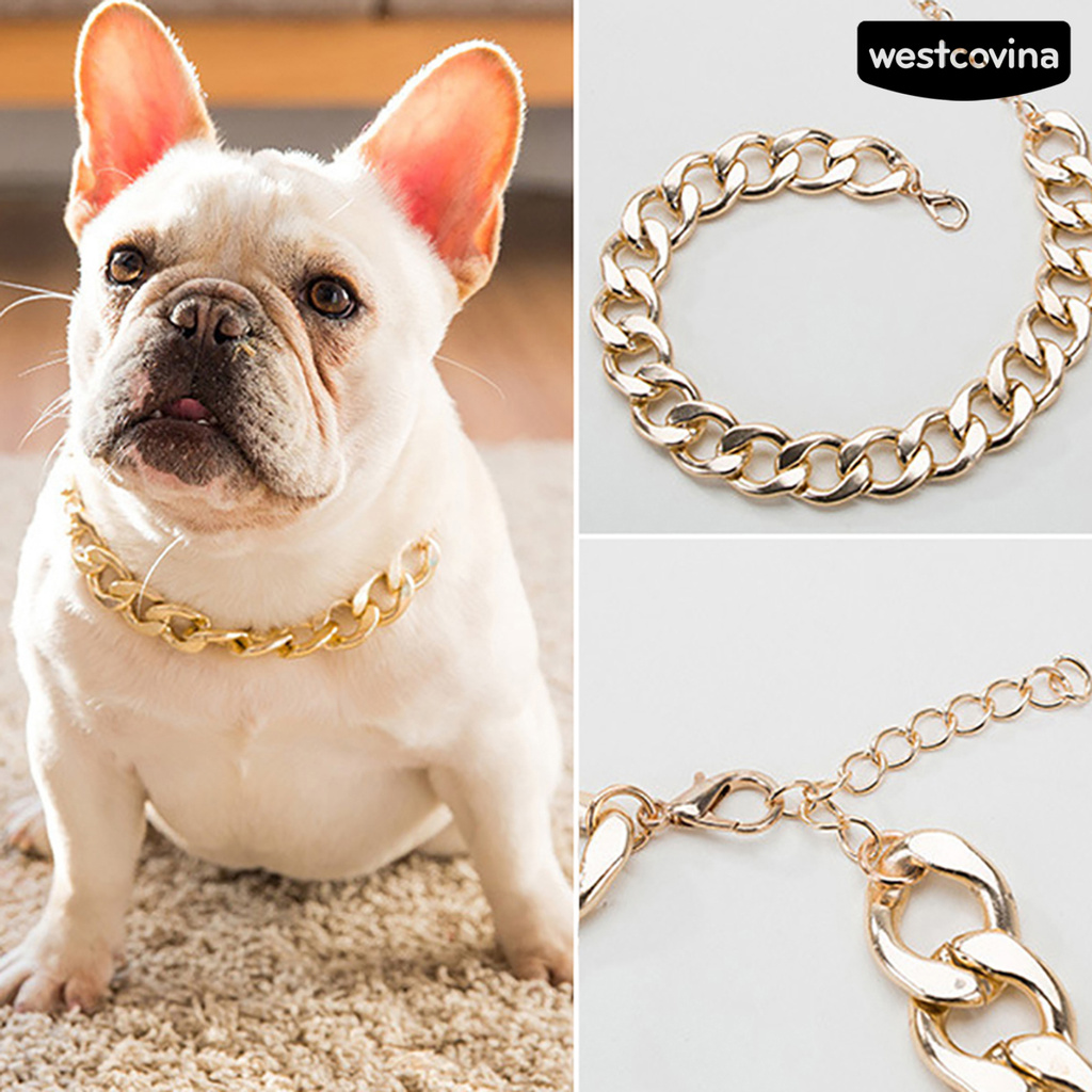 Vòng Cổ Bằng Nhựa Có Thể Điều Chỉnh Cho Chó Pitbull