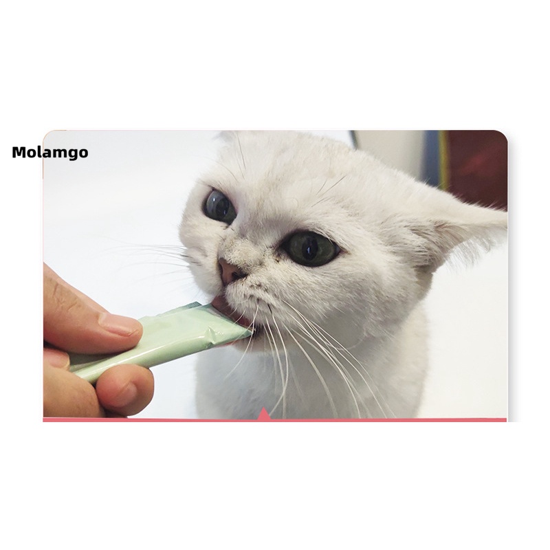 Túi thức ăn dinh dưỡng cho mèo nhiều hương vị 15g