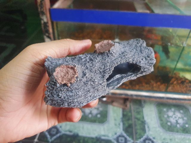 CÂY LỦA GIẢ TRANG TRÍ HỒ CÁ NON BỘ 13x7x5cm