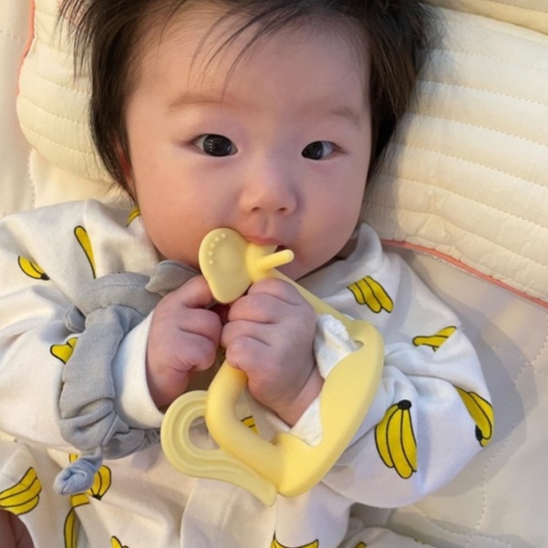 Set 2 gặm nướu Moyuum silicon cao cấp pony vàng và chim coral mới kèm hộp đựng