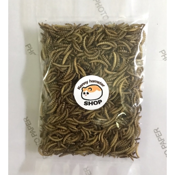 Sâu Gạo Sấy Khô Cho Hamster