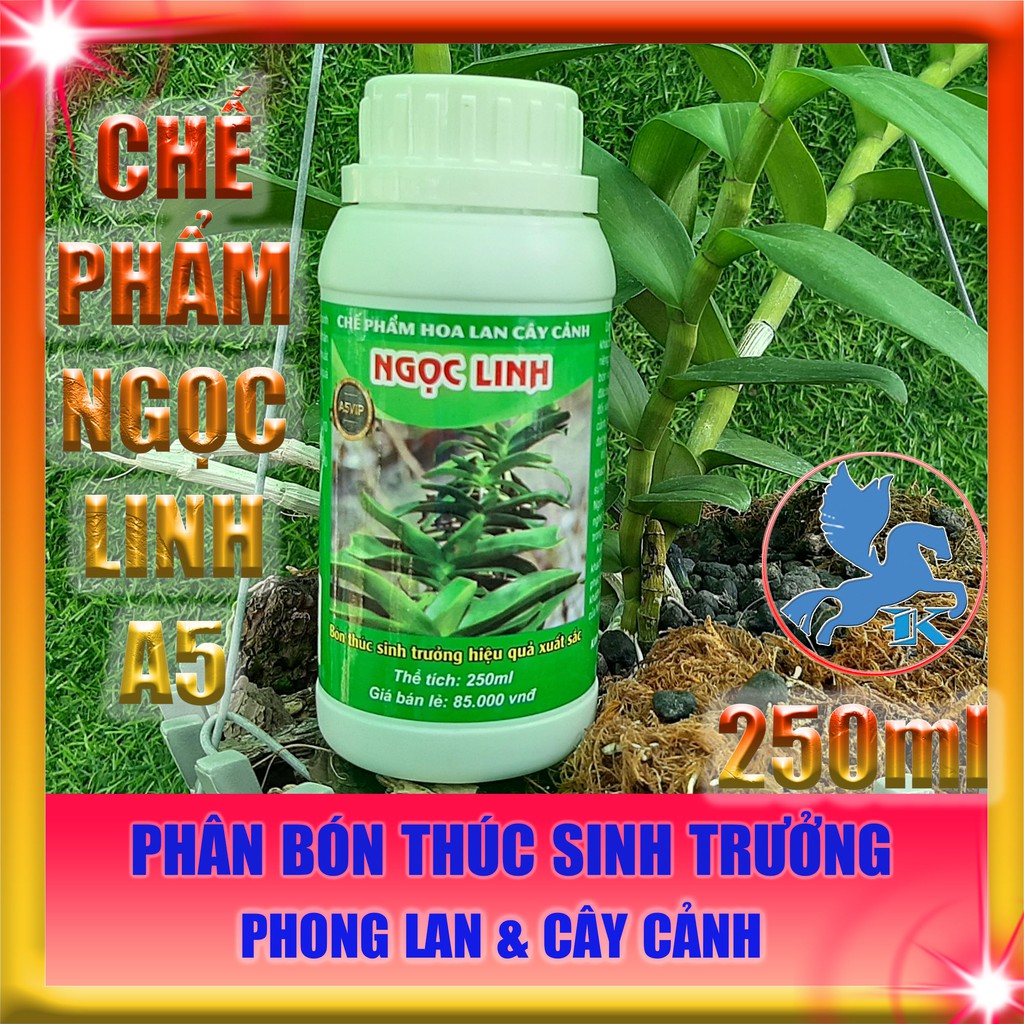 Chế Phẩm Ngọc Linh A5 250ml | phân bón thúc đẩy sinh trưởng