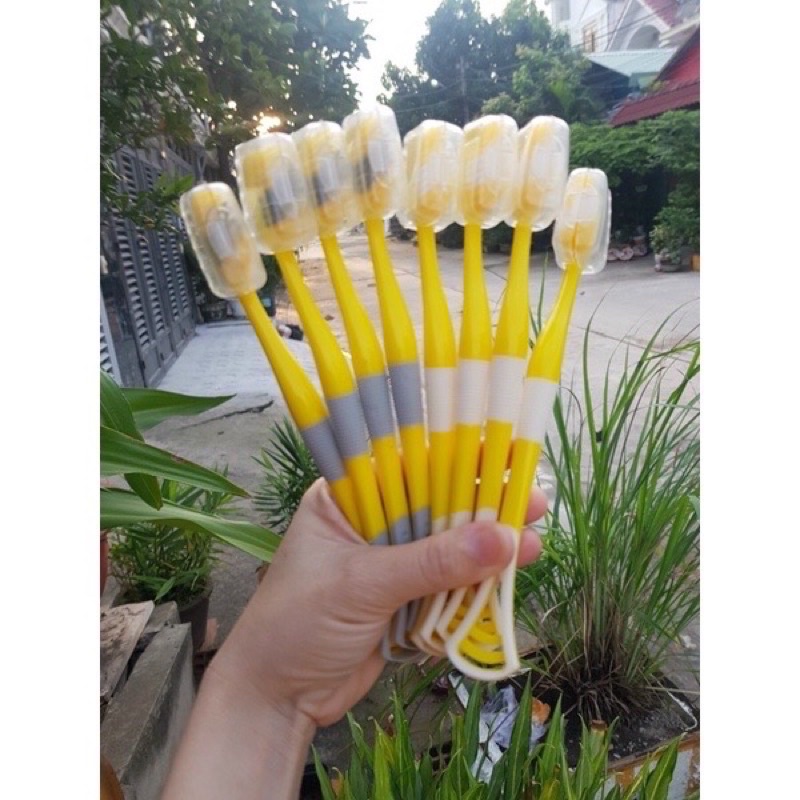 HỘP 8 BÀN CHẢI VỊT VÀNG CỦA HÃNG G.DUCK KÈM CẠO LƯỠI 2IN1