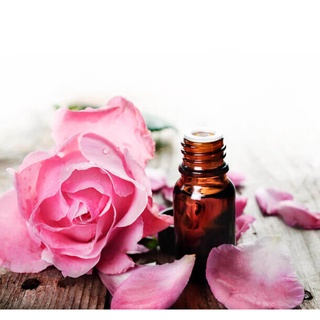 HƯƠNG HOA HỒNG (ROSE FR)