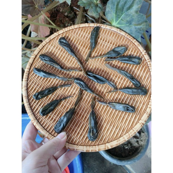 Mật kì đà rừng chuẩn xịn 100%