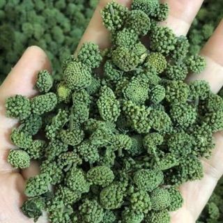 Nụ hoa tam thất không cuống 1kg - 500g