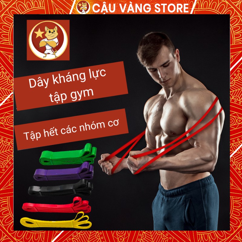 Dây gym kháng lực CẬU VÀNG tập power band, powerband