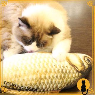 Đồ Chơi Gặm/Cào Móng Hình Cá Diếc Ngộ Nghĩnh Nhồi Bạc Hà Mèo Cho Mèo Cưng