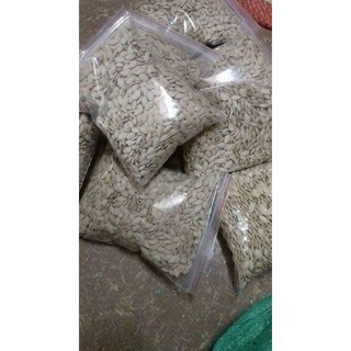 1 KG Hạt bí Rang Tay