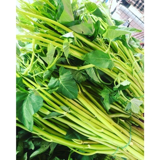 Hạt giống rau muống siêu ngọn ( 30 gram)