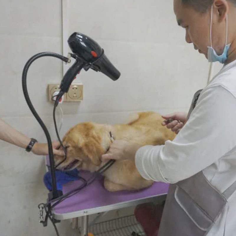 Khung Kẹp Cố Định Máy Sấy Đa Năng Cho Thú Cưng