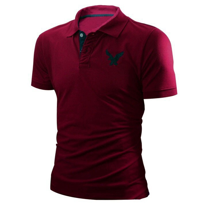 [ẢNH THẬT] Áo thun nam ngắn tay cổ bẻ thêu đại bàng - LZ FASHION- PS008