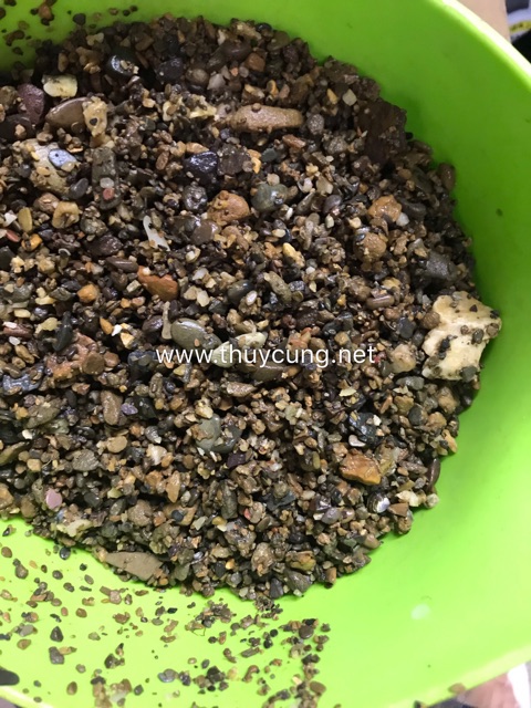Sạn suối 500g trang trí bể cá