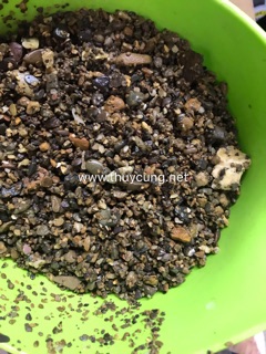 Sạn suối 500g trang trí bể cá