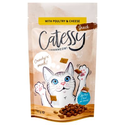 BÁNH THƯỞNG CHO MÈO CATESSY 65G 3 VỊ NHẬP ĐỨC GIÁ CỰC RẺ