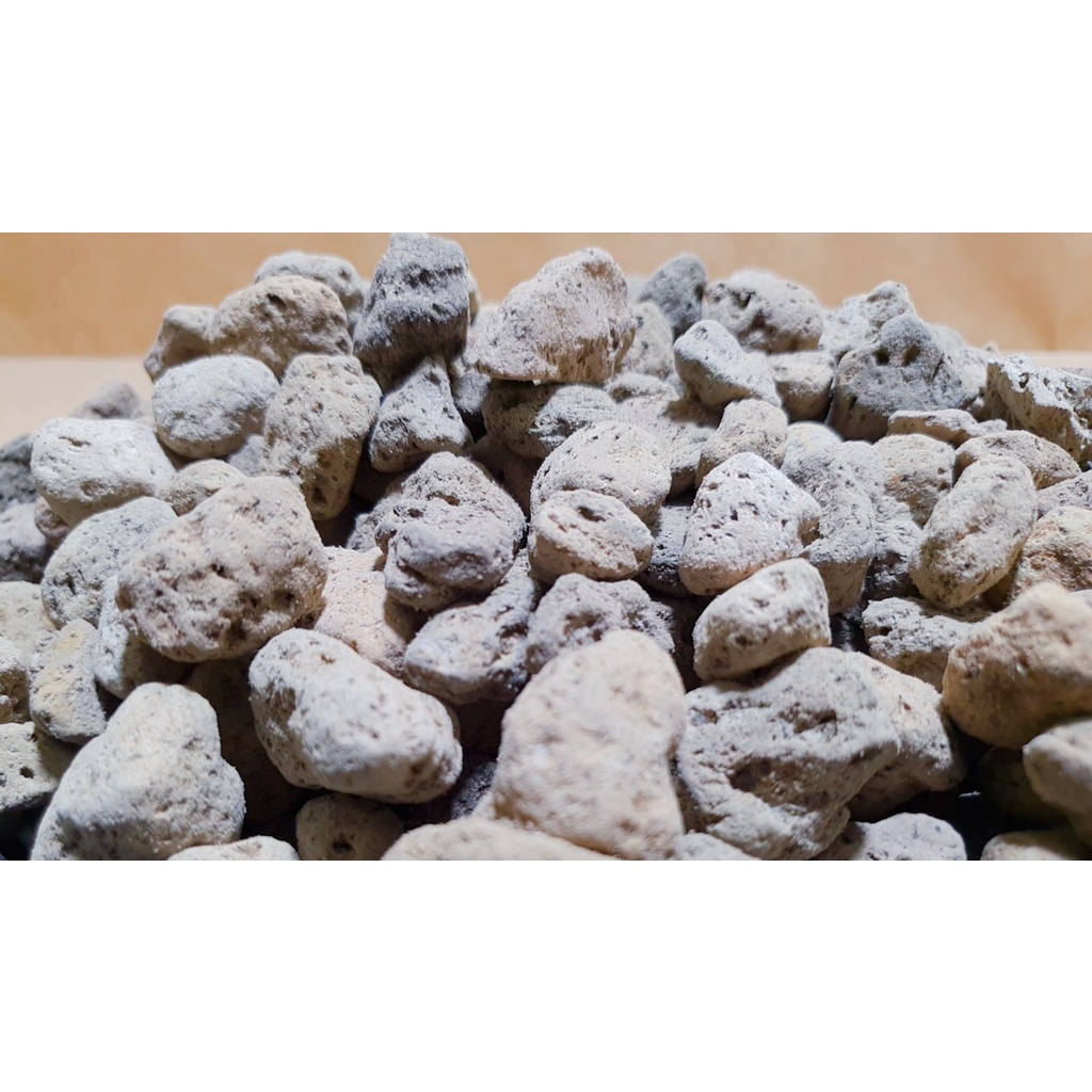 Đá Pumice Chiết Túi 1KG Size 1-2CM - Trồng Cây Sen Đá, Kiểng Lá, Xương Rồng, Phong Lan
