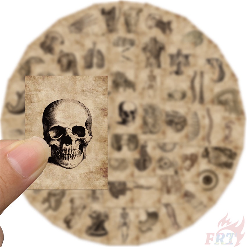 ❉ Hình Dán Nghệ Thuật Giải Phẫu Con Người Cổ Điển Series 01 ❉ Bộ 55 Sticker Chống Thấm Nước Họa Tiết Doodle Hợp Thời Trang