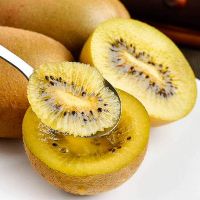 Cây giống kiwi ruột vàng