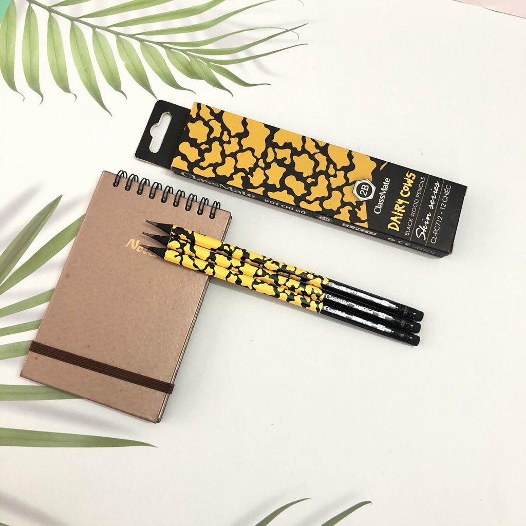 Bút chì Gỗ Đen 2B Cao Cấp Classmate Skin Series CLPC712