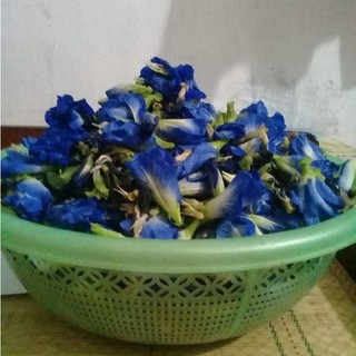  HẠT GIỐNG HOA ĐẬU BIẾC