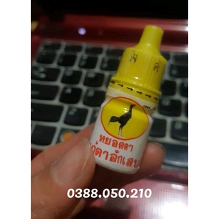 Nhỏ mắt cho gà thái lan tri đau mắt, sưng mắt, chảy bọt mắt