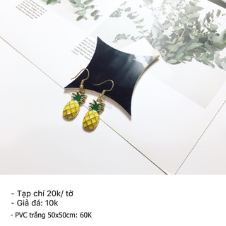 Combo phụ kiện chụp ảnh, Phông PVC, tạp chí, giả đá