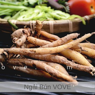 1 KÝ CỦ NGÃI BÚN TƯƠI  (CỦ GỪNG THÁI )