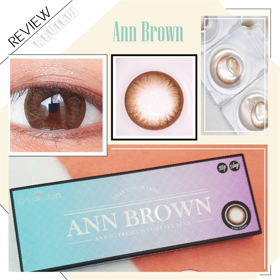 [𝟭 𝗖𝗔̣̆𝗣] Lens 1 Ngày ANN365 Màu Nâu Đậm Ann Brown Giãn Tròng Cho Mắt Cận Loạn