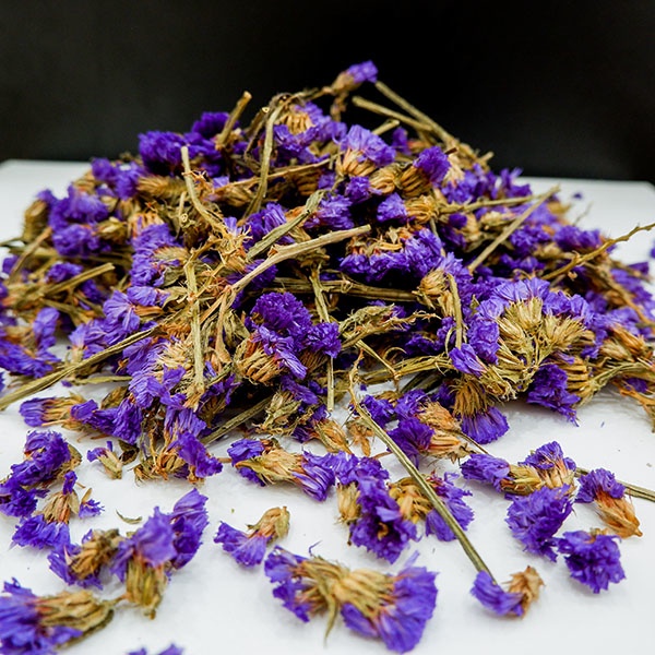 hoa lưu ly sấy khô đẹp 100 gram _ trathaomocsi