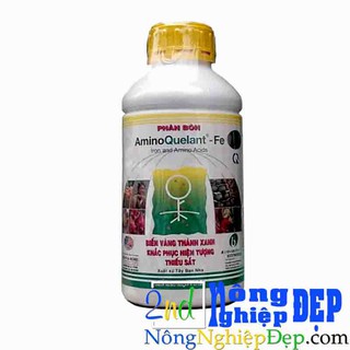 Phân Bón Amino Fe 1 Lít - Aminoquelant Fe - Biến Lá Vàng Thành Xanh - Tái Tạo Lục Diệp cho cây