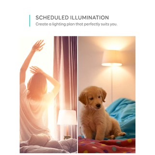 BÓNG ĐÈN EUFY LUMOS ANKER T1013