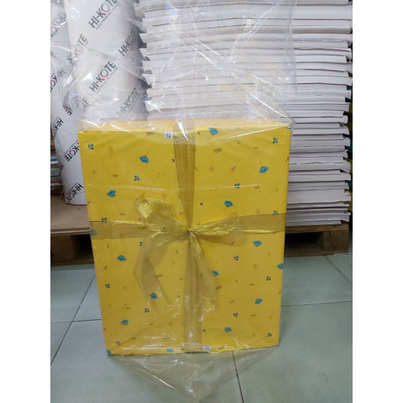 Hộp quà thùng carton 39x49 cao 38cm