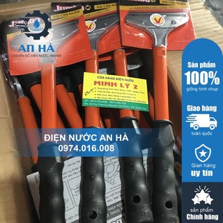 Cây xủi tường .sủi xi măng