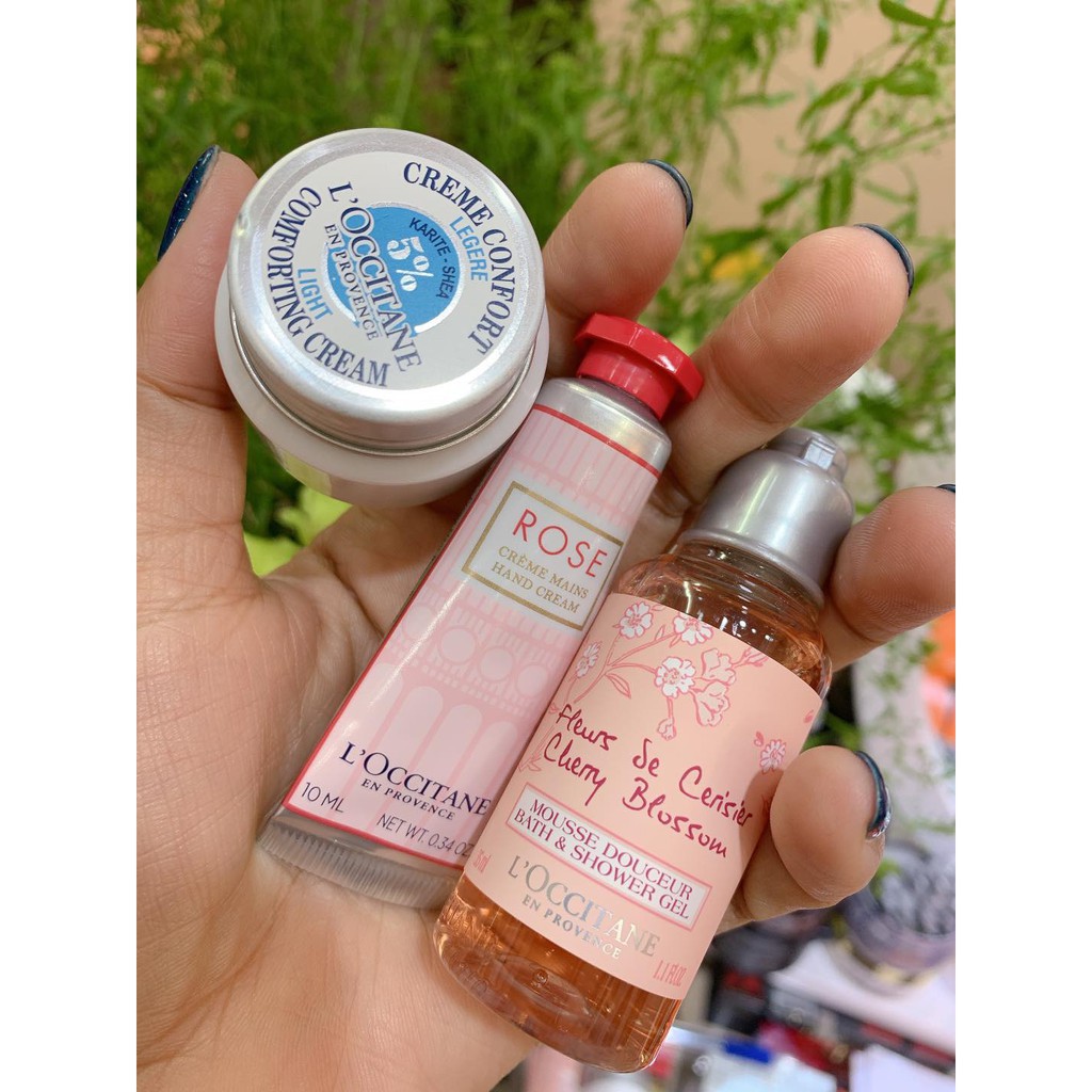 Set Dưỡng L’Occitane - Sữa tắm Cherry Blossom/Shea Light Comforting Cream/Rose Handcream