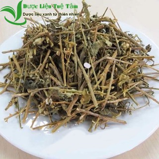 Cà gai leo khô 1kg cao cấp