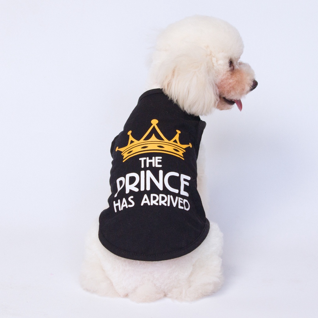 Áo Thun cotton In Hình Vương Miện Cho Thú Cưng