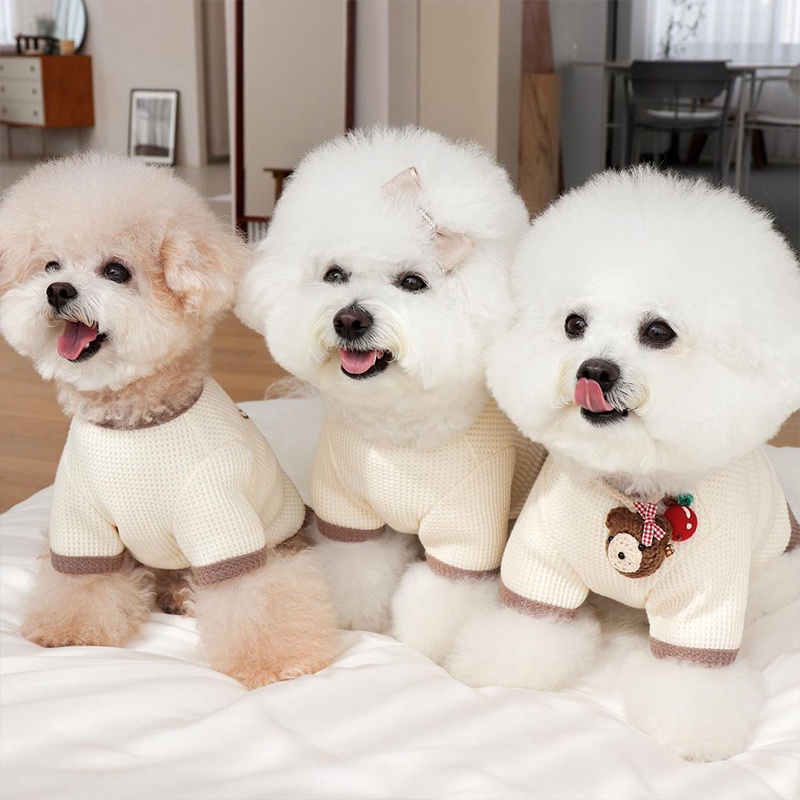 Đầm Hóa Trang Gấu Dễ Thương Cho Thú Cưng Shih Tzu