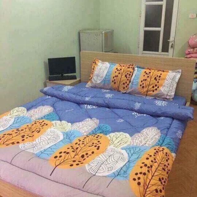 com bo 2 bộ ga gối