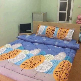 Com bo 2 bộ ga gối