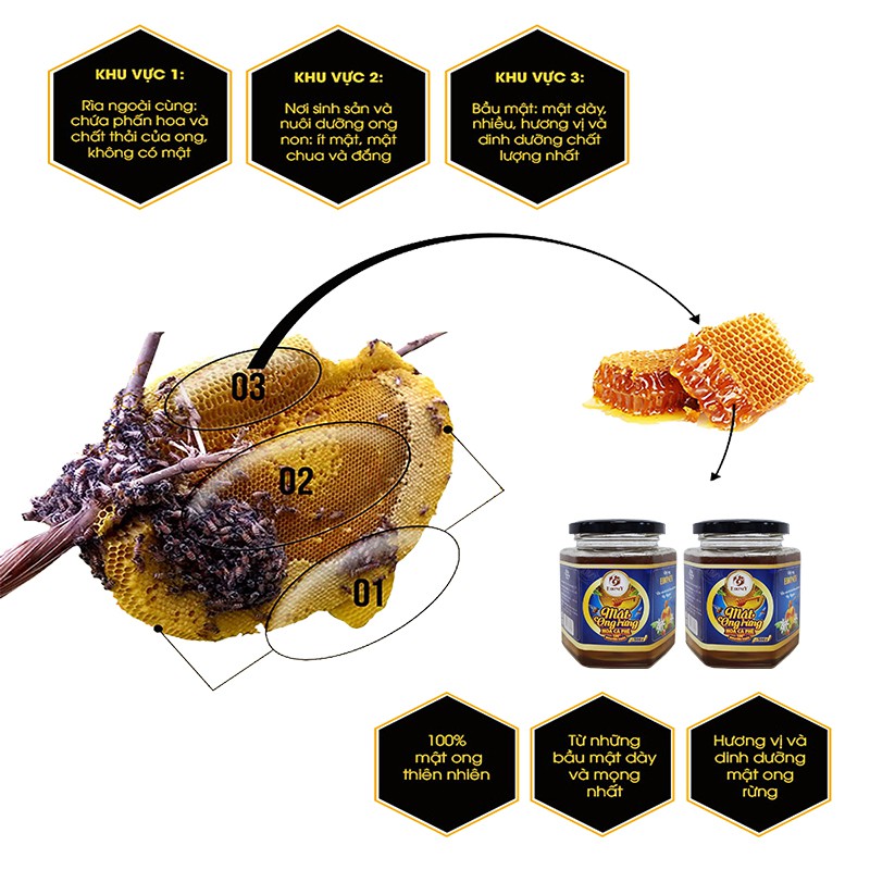 EHONEY - Hộp mật Ong rừng hoa cafe 500g/hộp