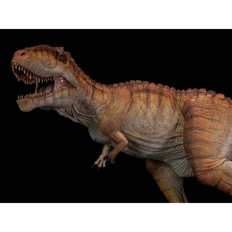 Mô hình khủng long Giganotosaurus deluxe có đế đứng hãng Benxin Nanmu