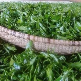 [LOẠI NGON] 500g Chè Nõn Đặc Biệt