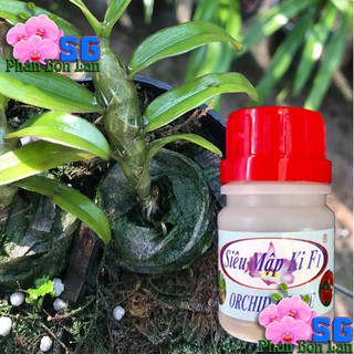 SIÊU MẬP KI F1 chai 50ml - MẬP KIE, MẬP THÂN, MẬP RỄ