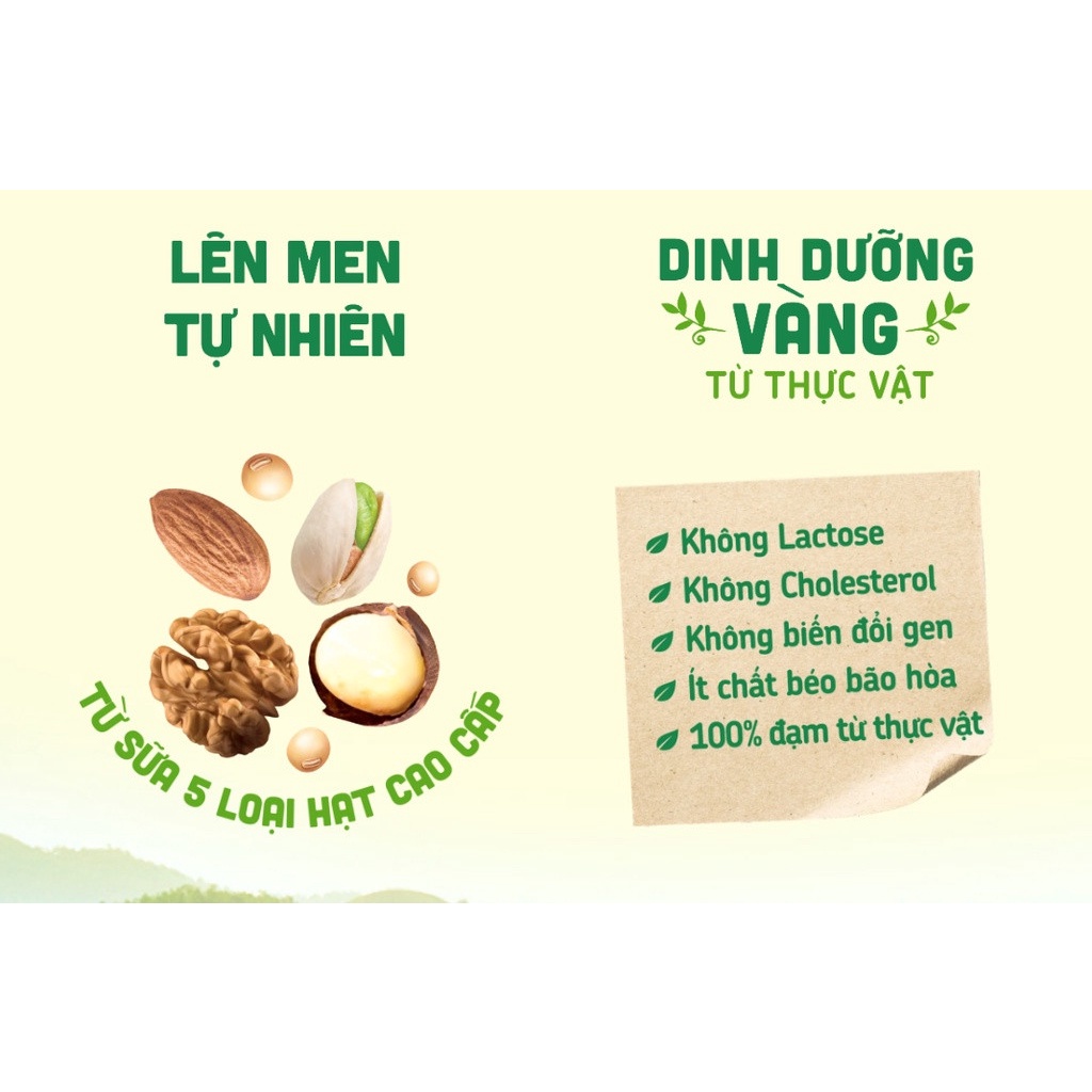 [HSD T10-2023] Thùng 30 hộp Sữa Chua Uống Từ Thực Vật Veyo Yogurt Vị Đào Tiên Nhật 180ml