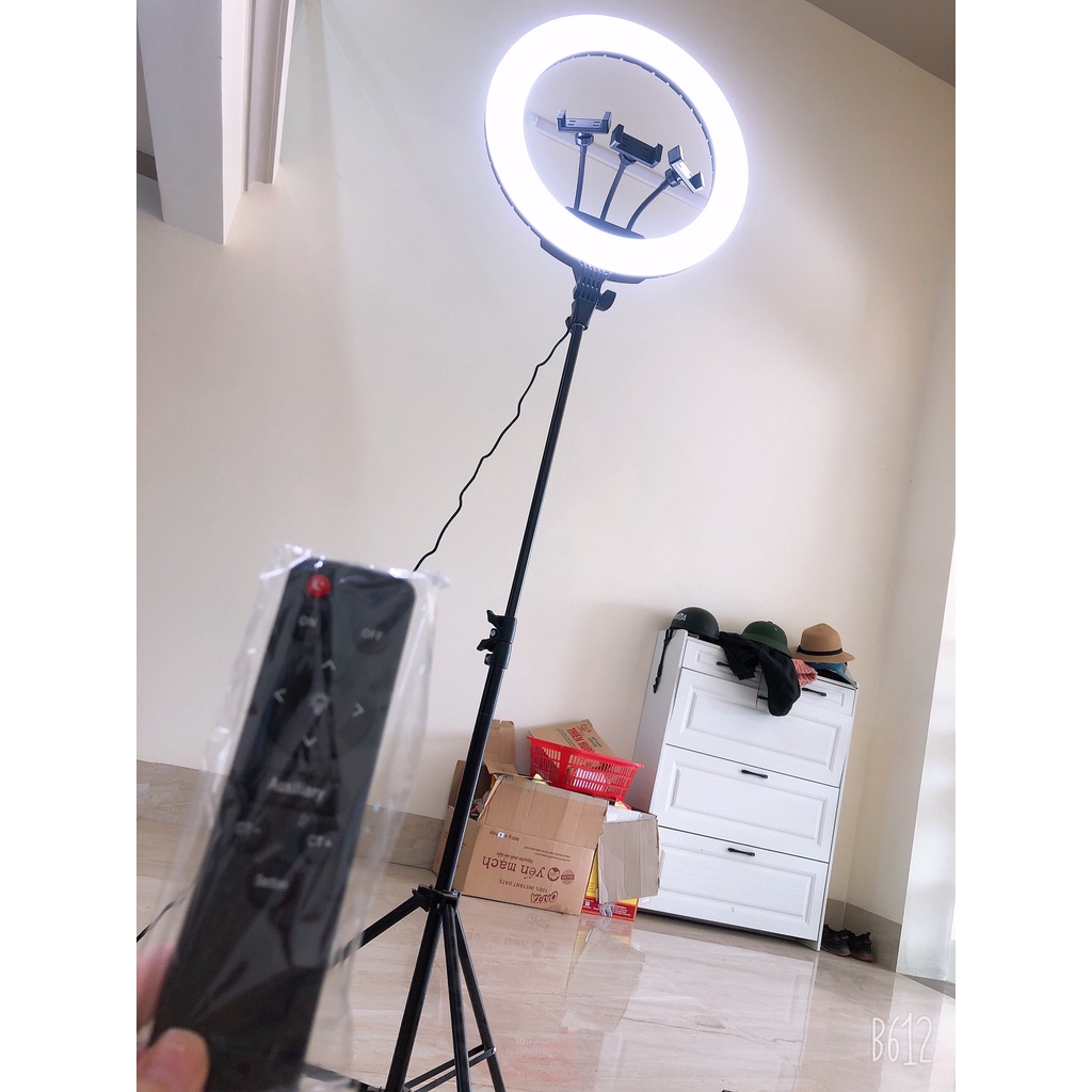 Bóng đèn livestream