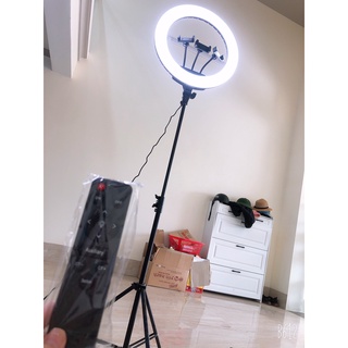 Bóng đèn livestream